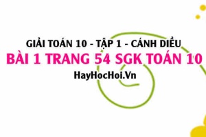 Giải bài 1 trang 54 Toán 10 Tập 1 SGK Cánh Diều